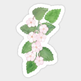 Achimenes flowers, floral watercolor painting Sticker